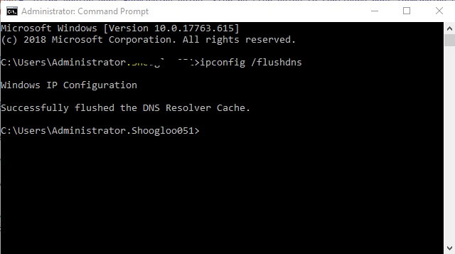 flush dns windows command